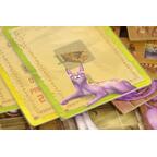 L'Île des Chats: Derniers Arrivants Zoom