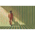 Human Punishment: Identités Cryptées 2.0 Artwrk