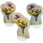 The 7th Continent: Les Racines Volantes Eclate