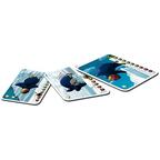 Antartik Cartes