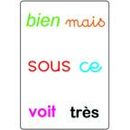 Tam Tam: Safari - Les Mots-Outils du CP Carte