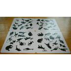 Panicozoo 2006 Cartes