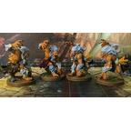 Descent: Voyages Dans les Ténèbres (Seconde Édition) - Le Serment de l'Exilée Figurines