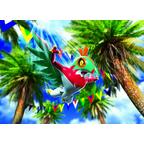 Pokémon XY: Poings Furieux - Booster Artwork