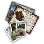 Talisman: Le Royaume Sylvestre Cartes