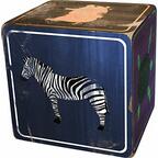 Mysterium: Hidden Signs Artwork