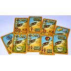 L'Âge de Pierre: Troc et Breloques Cartes