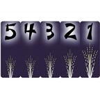 Hanabi: Grands Feux Cartes