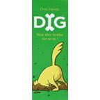 DIG Cover