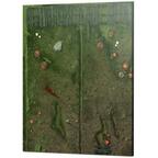 Blood Bowl: The Game of Fantasy Football - Snotling Pitch Plateau