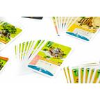 Imperial Settlers: Aztecs Zoom