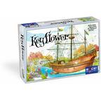 Keyflower Cover 3d