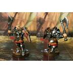 Descent: Voyages Dans les Ténèbres (Seconde Édition) - Le Serment de l'Exilée Figurines