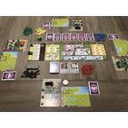 Tiny Epic Dinosaurs Eclate