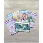 Les Chroniques de Pargate: Cueilleurs et Esprits Cartes