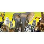 Une Saison au Zoo: Le Jeu du Soigneur Top