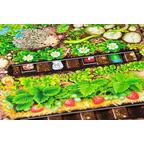 Le Rallye des Vers de Terre Zoom