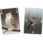 Songbirds Cartes