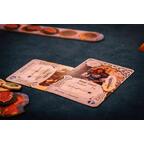 A Thief's Fortune Zoom