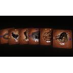 Betwixt and Between Cartes