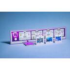 Tapestry: Arts & Architecture Eclate