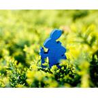 Everdell: Spirecrest Animaux