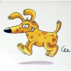 Brouhaha 2004 Carte