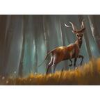 Outlive Artwork Animaux