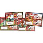 Looney Tunes Mayhem Cartes