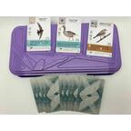 Wingspan: Extension Europe Eclate