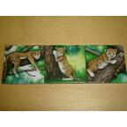 Charly im Zoo Tuiles