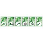 Poney mon Amour Cartes