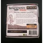 Shabadabada: Cinoche 2012 Back 3d