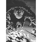 Green Dawn Mall Page