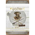 Harry Potter: Bataille à Poudlard - Défense contre les Forces du Mal Cover