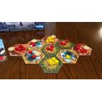 L'aube des Tribus Zoom