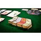 Ponzi Scheme Zoom