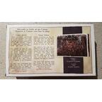 Conan: Loups Géants Back 3d