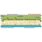 Mémoire 44: Opération Overlord Carte