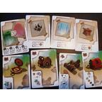 Vivarium Cartes