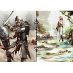 1066, Dans la Fureur et le Sang Artwork