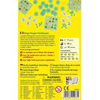 Dragon Flamboyant: Bingo Back