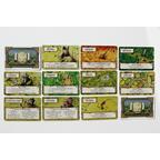 Talisman: Les Terres de Feu Cartes