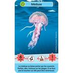 Défis Nature: Junior - Merveilles de la Mer Carte