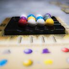 Masters of Renaissance Zoom