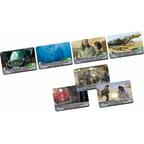 Timeline: Star Wars - Spécial Édition Cartes