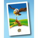 Suricat'Cache Carte