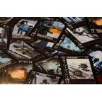 Arctic Scavengers Zoom