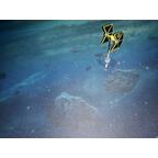 Star Wars: X-Wing - TIE de la Guilde Minière Vaisseau