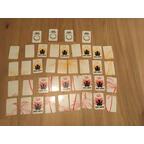 Escape Box: Koh Lanta - L'Île des Oubliés Cartes